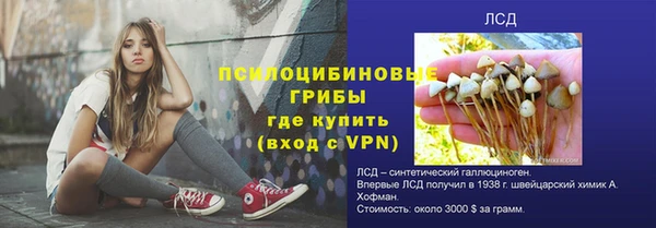 прущие грибы Алексеевка