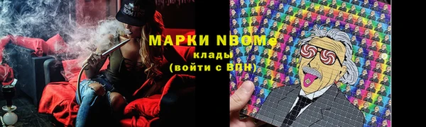 прущие грибы Алексеевка