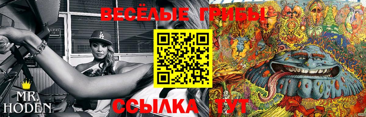 Псилоцибиновые грибы Cubensis  Галлюциногенные грибы MAGIC MUSHROOMS  купить  сайты  Вход с VPN  Рязань 