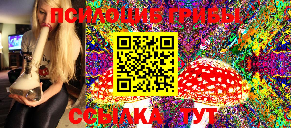Псилоцибиновые грибы Cubensis Рязань